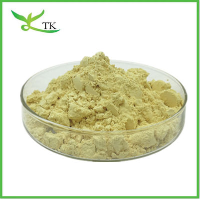 Kava wortel plant extract poeder Kavalacton 10% 30% Kava Piper Methysticum extract