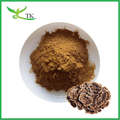 Topkwaliteit Natuurlijke paddenstofextract poeder kalkoen staart extract poeder capsules Bulk