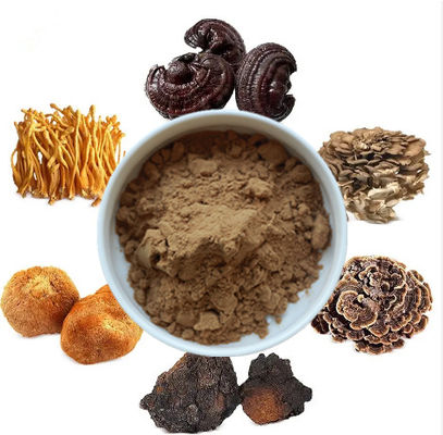 Mix 6 in 1 paddenstofextractpoeder Cordyceps Ganoderma Reishi Chaga Kalkoen staart Maitake Leeuwenmanele paddenstofextractpoeder