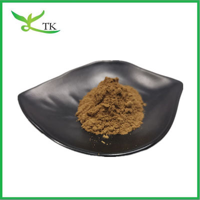 Groothandelsprijs Puur Natuurlijk Fenugreek Zaad Extract Poeder Saponin 50% Op voorraad