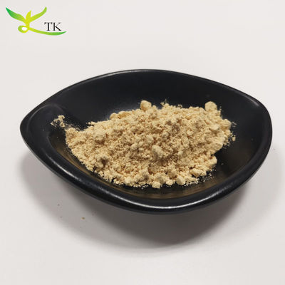 Superfood Gezondheidszorg Hericium Erinaceus Extract Leeuwenmane Champignonpoeder