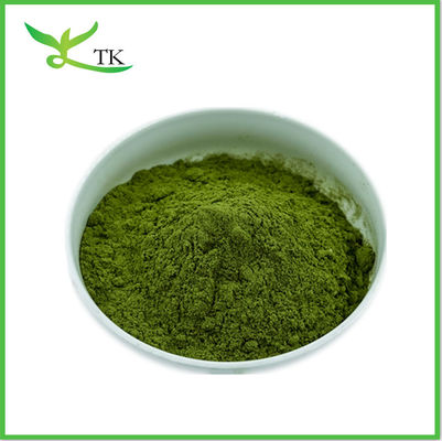 Plantennatuurlijk tarwegras sap poeder tarwegras extract poeder