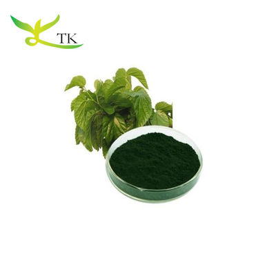 Groothandel Beste prijs Pigmentpoeder Chlorophyll Natrium Koper Chlorophylline Bulk