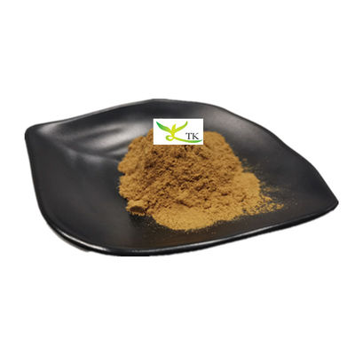 Groothandelsprijs Natuurlijke plantenextractpoeder 5% Flavonoïden Paardebloem-extractpoeder