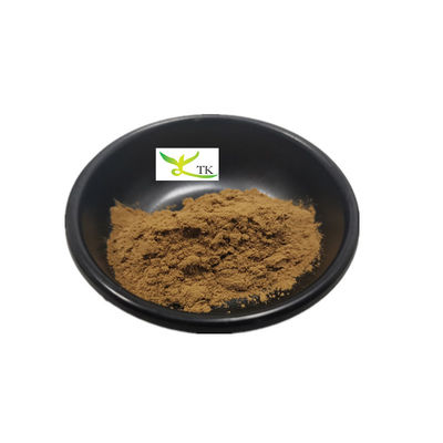 Fabrieksvoorziening Natuurlijke Damiana blad extract poeder 99% Damiana extract poeder