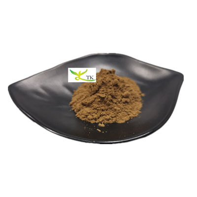 Natuurlijke paddenstofextract Polysaccharide 20% Chaga-paddenstofextractpoeder