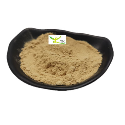 Beste prijs Proteinpoeder van pompoenzaden van voedselkwaliteit 80% extract van pompoenzaden poeder