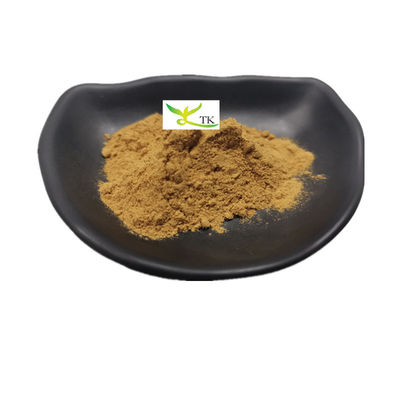 Natuurlijke Cistanche Deserticola Extract Caulis Cistanchis Extract Bulk Cistanche Tubulosa Extract Poeder