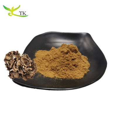 Groothandel 100% natuurlijke champignon supplementen Grifola Frondosa extract poeder