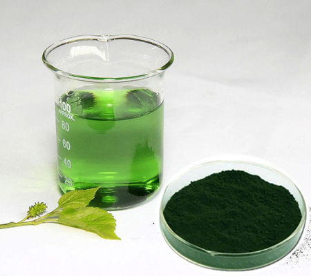 Fabrikant Groothandelsprijs Natuurlijk moerbei-extract Puur chlorofyl poeder bulk