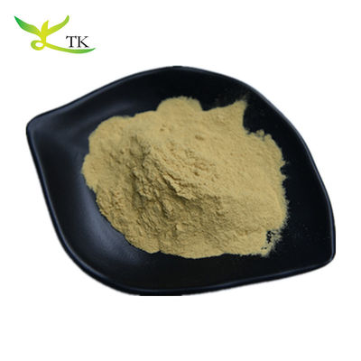 ISO Factory Olijvenblaad Extract Poeder Oleanolic Acid Maslinic Acid Oleuropein Hydroxytyrosol