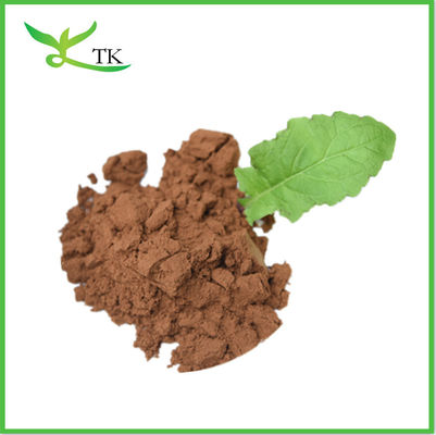 Lignosus Rhinocerus Beta Glucanen Polysacchariden Tigermelk Paddenstofextract