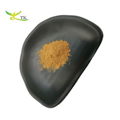 Plantenextract Natuurlijke Schisandra Chinensis Extract Poeder Schisandra Berry Extract
