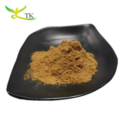 Groothandel Yerba Mate Extract Natuurlijke Paraguay Tea Mate Tea Extract