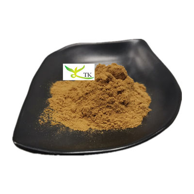 100% natuurlijk Osyter Mushroom Extract Poeder Pleurotus Ostreatus Extract