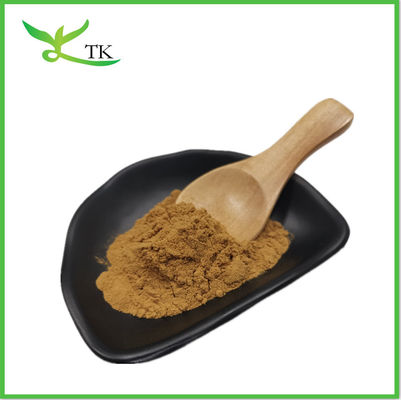 Cistanche Tubulosa Extract Poeder 50% Echinacoside+10% Verbascoside