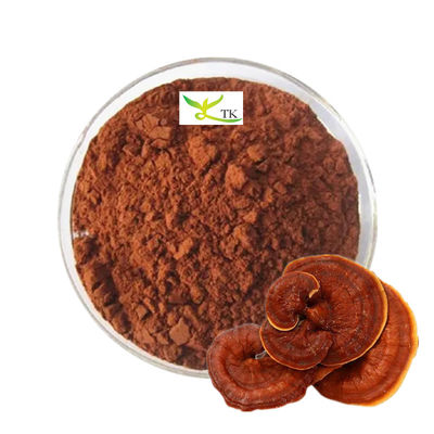 Groothandelprijs Bulk 100% natuurlijk Ganoderma Lucidum Reishi paddenstoelsporenpoeder