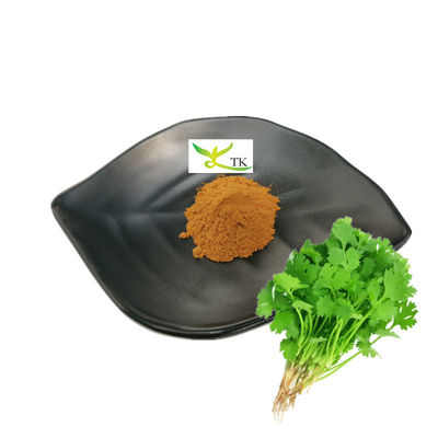 Groothandelsprijs Bulk Natuurlijke koriander extract Coriandrum sativum extract Cilantro extract poeder