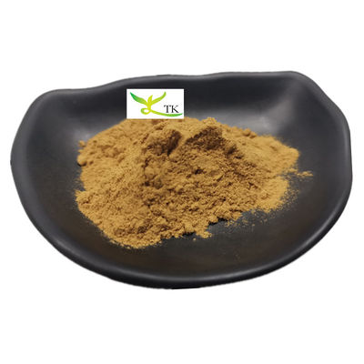Groothandel Prijs Aanbod Natuurlijke Nasturtium Officinale Waterkress Extract 10:1 Waterkress poeder