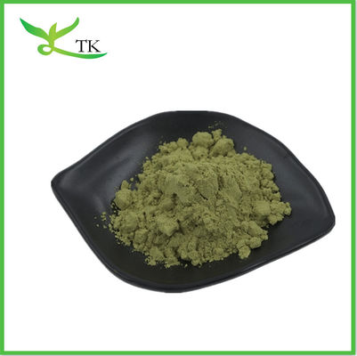 Groothandel Moringa Oleifera theepoeder Moringa blad poeder capsules poeder bulk
