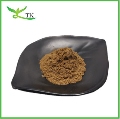 Wateroplosbaar Ivy Leaf Extract 10% Ivy Leaf Extract Powder Lvy Leaf Powder