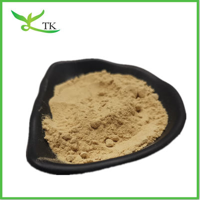 Gezondheid Coriander Extract Coriandrum Sativum Extract Cilantro Extract Corianderpoeder
