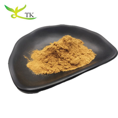 Groothandel Prijs Bulk Natural Plantago asiatica L. Plantago Extract Poeder Plantago Quata Extract