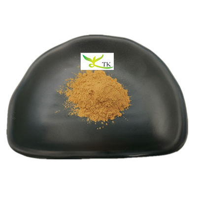 Groothandelsprijs Natuurlijke kannelextractpoeder kannelextractpoeder kannelepolyfenol