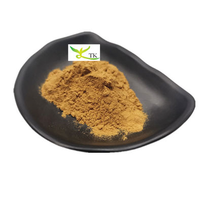 Natuurlijke kruiden supplement Panax Quinquefolius extract poeder 10:1 20:1 Amerikaanse ginseng extract poeder