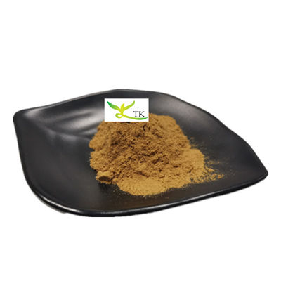 Groothandelsprijs Natuurlijke kruidensupplement Ingrediënt 10:1 20:1 Citroenbalsem extract poeder