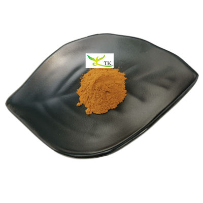 Groothandelprijs 100% natuurlijk Boletus Edulis Extract Penny Bun Extract Poeder