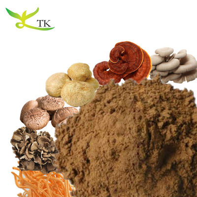 100% natuurlijke reishi leeuwenmane shiitake maitake chaga kalkoen staart paddenstoel extract poeder mengsel