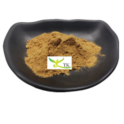 100% natuurlijk Willow Bracket Mushroom Extract Poeder Polysacchariden Phellinus Igniarius Extract