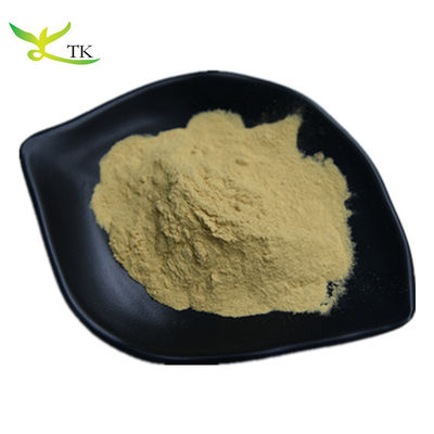 100% natuurlijk Baikal Skullcap Root Extract Scutellaria Baicalensis Extract Poeder Baicalin