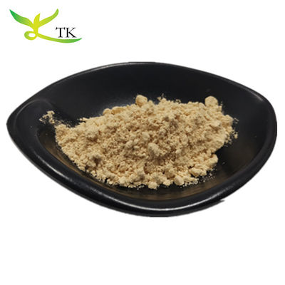 Topkwaliteit 100% Pure Natural Panax Ginseng Root Extract Ginsenosides Poeder 10%~80%