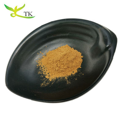 100% natuurlijk Chinees kruidenextract Astragalus wortel extract poeder Huangqi extract poeder