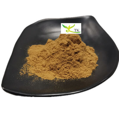 Pure traditionele Chinese kruid Angelica Sinensis wortel extract poeder Ligustilide 1%