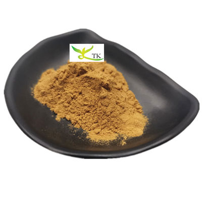 100% natuurlijk Chinees kruid Dang Gui extract Dong Quai extract Ligustilide poeder