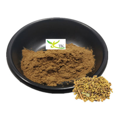 100% natuurlijke fenegriek zaad extract poeder 10:1 fenegriek extract saponine 50% prijs