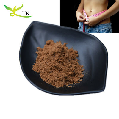 Groothandel 100% natuurlijk gewichtsverlies poeder Lotus blad extract poeder 10:1 voedselkwaliteit