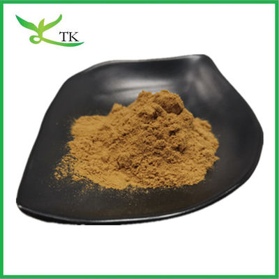 Beste prijs 100% natuurlijk Chaste Tree Berry Extract Chasteberry Extract Poeder 10:1