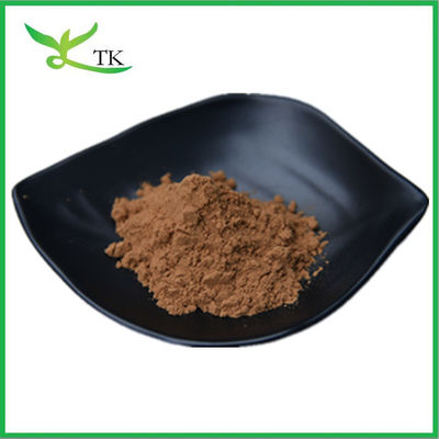 100% natuurlijk plantenextract van paardebloemwortel extract poeder paardebloem extract 10:1