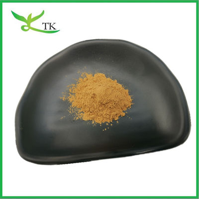 Natuurlijke Poria Cocos Extract Polysaccharide 30% Poria Cocos Extract Poeder Voedselkwaliteit