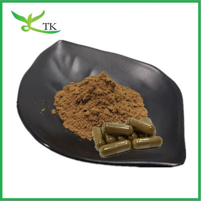 Natuurlijke plantenextract poeder Aswagandha extract 10:1 Ashwagandha wortel extract