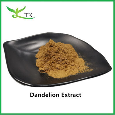 Natuurlijke paardebloem extract 5% Paardebloem wortel extract poeder Flavonoïden
