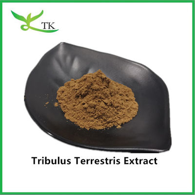 Groothandel Beste prijs 100% natuurlijk Tribulus Terrestris extract poeder Saponin 40%