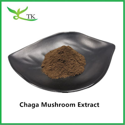 Natuurlijke voedingssupplementen Champignon Extract Chaga Extract Poeder Chaga Polysaccharide 20%