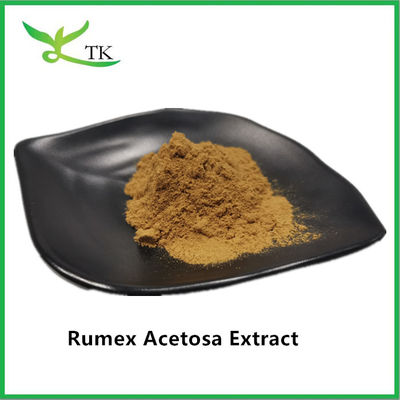 Groothandelsprijs 100% natuurlijk kruidenextract Rumex Acetosa L. Extract poeder