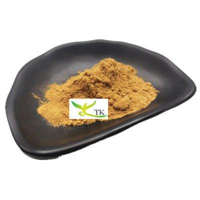 Groothandelsprijs Voedingsmiddelen Natuurlijke cactus extract Cactus extract poeder bulk