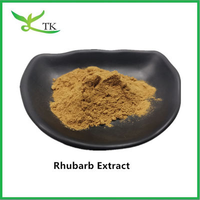 Natuurlijke rabarber extract rabarber wortel extract poeder Rheum palmatum